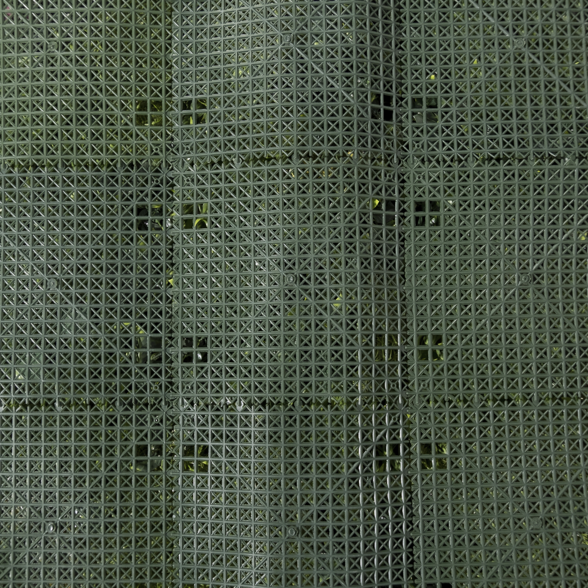 Supergreens Texniti Fullosia Fikos me Fteri ''Flux'' 100x100cm 5291-7
