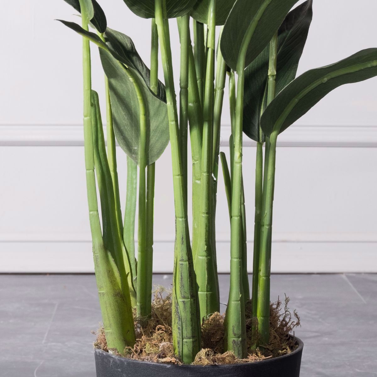 Supergreens Texnito Dentro Pouli tou Paradeisou Strelizia Reginas 100cm 4130-6
