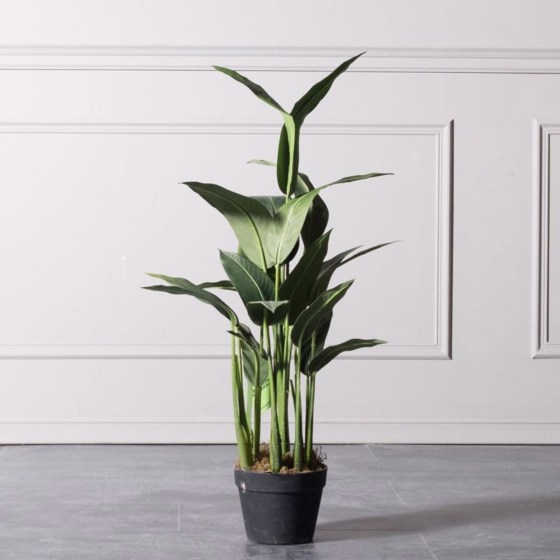 Supergreens Texnito Dentro Pouli tou Paradeisou Strelizia Reginas 100cm 4130-6