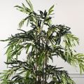 Supergreens Texnito Dentro Bampou Lucky 180cm 0430-6