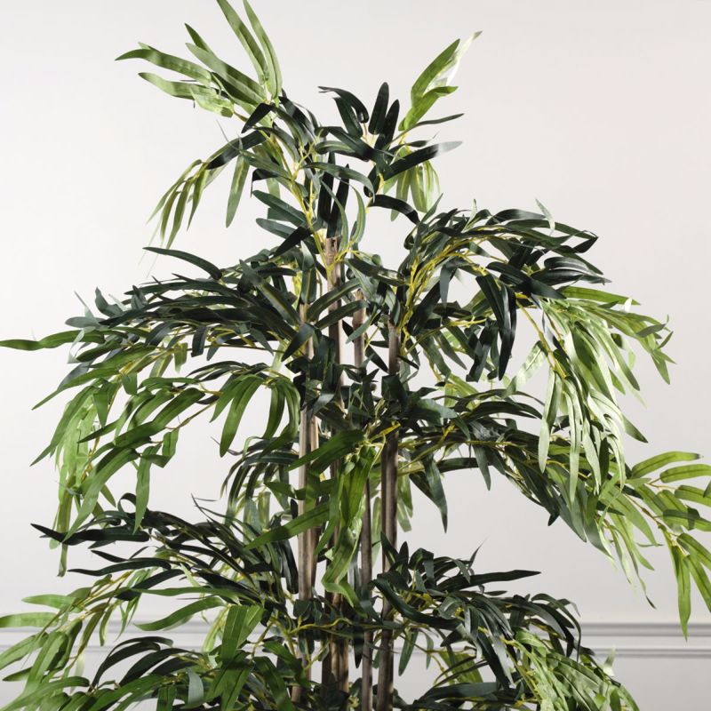 Supergreens Texnito Dentro Bampou Lucky 180cm 0430-6