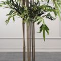Supergreens Texnito Dentro Bampou Lucky 180cm 0430-6