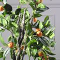 Supergreens Texnito Dentro Portokalia 120cm 2340-6