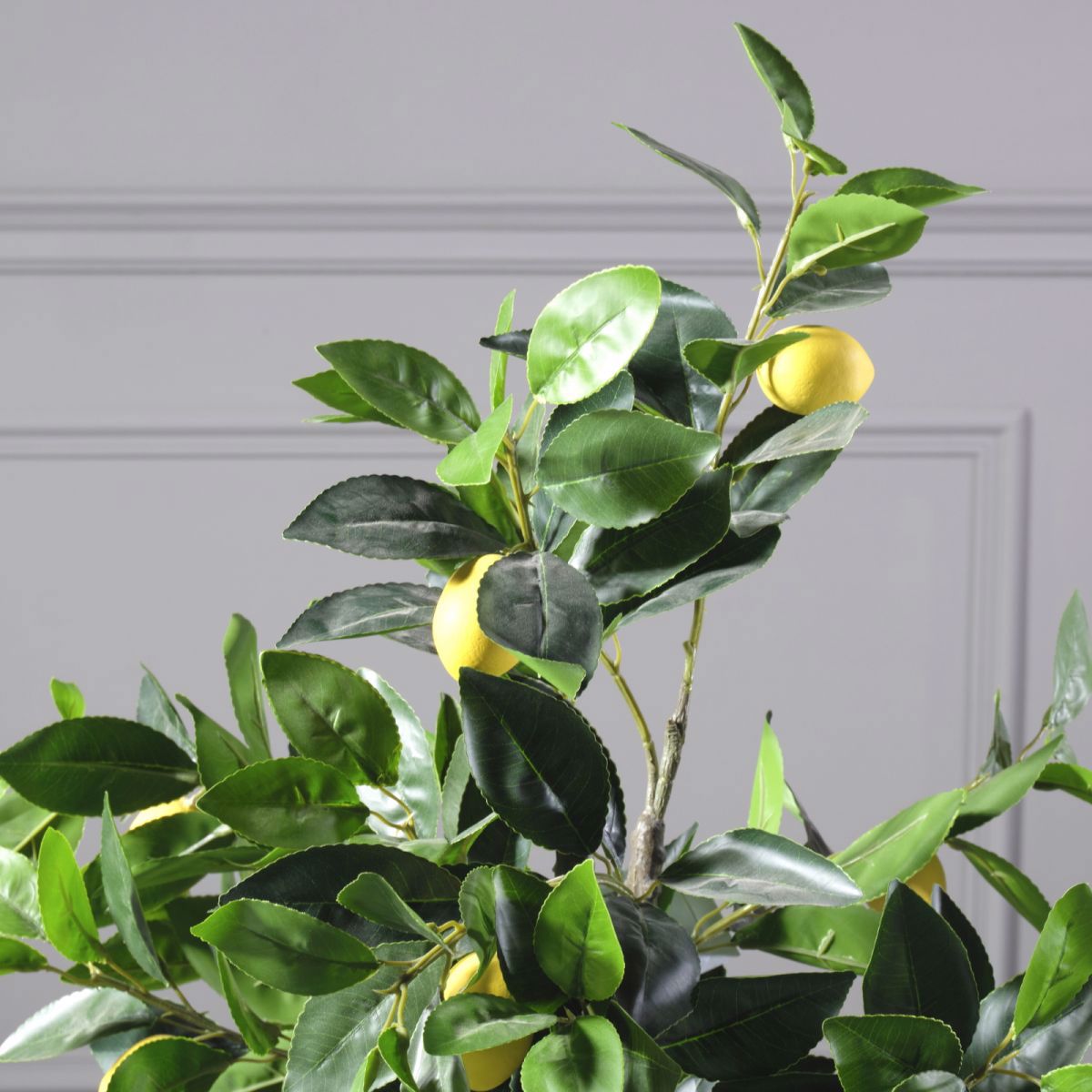 Supergreens Texnito Dentro Lemonia 120cm 5340-6