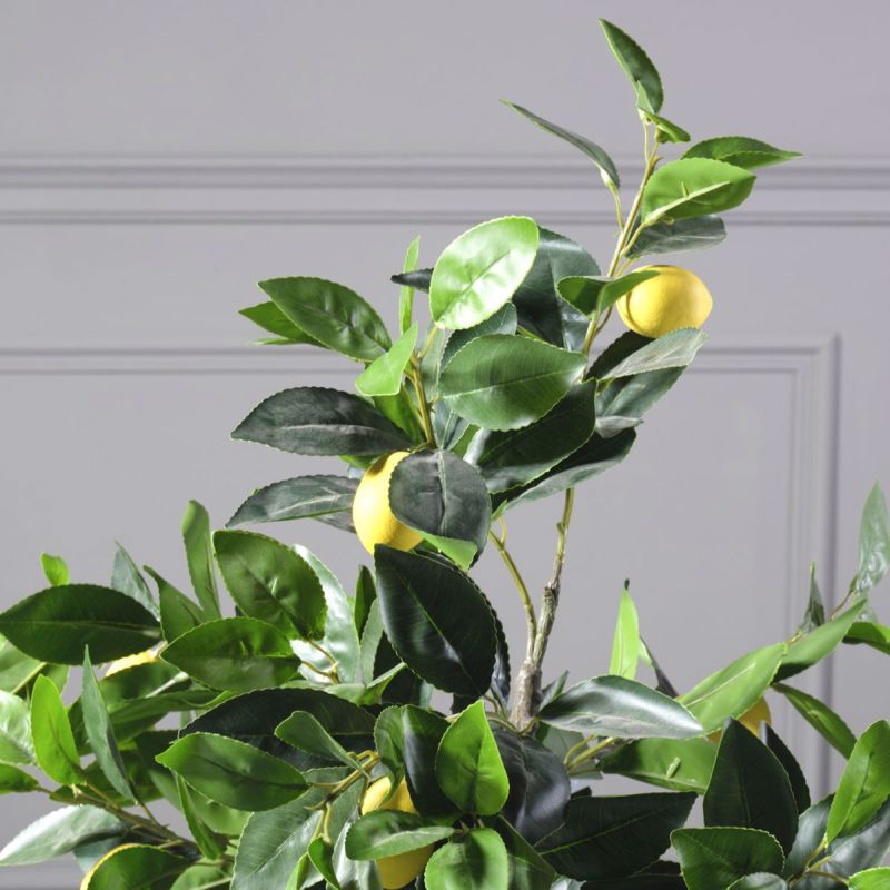 Supergreens Texnito Dentro Lemonia 120cm 5340-6