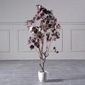 Supergreens Texnito Dentro Fikos Kafe 138cm 3440-6