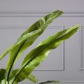 Supergreens Texnito Dentro Pouli tou Paradeisou Strelizia Nicolai 130cm 1350-6