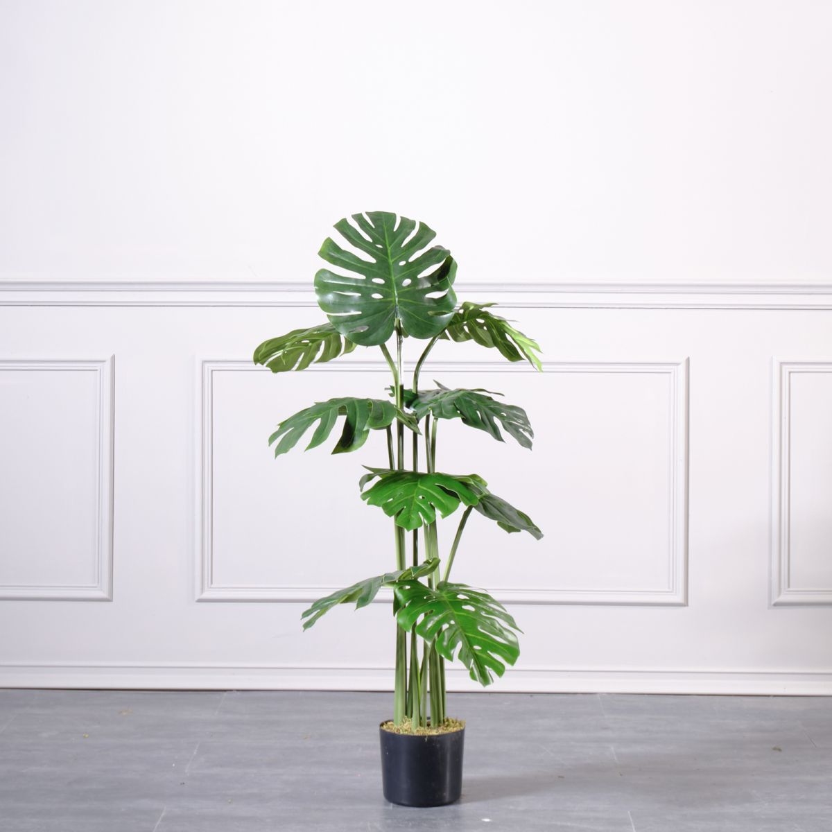 /filemanager/supergreens/6-0548.jpg