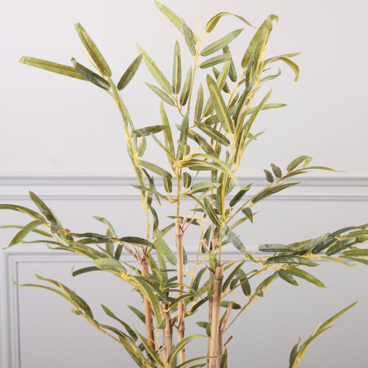 Supergreens Texnito Dentro Bampou 60cm 4560-6