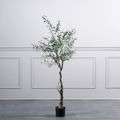 Supergreens Texnito Dentro Elia 150cm 5660-6