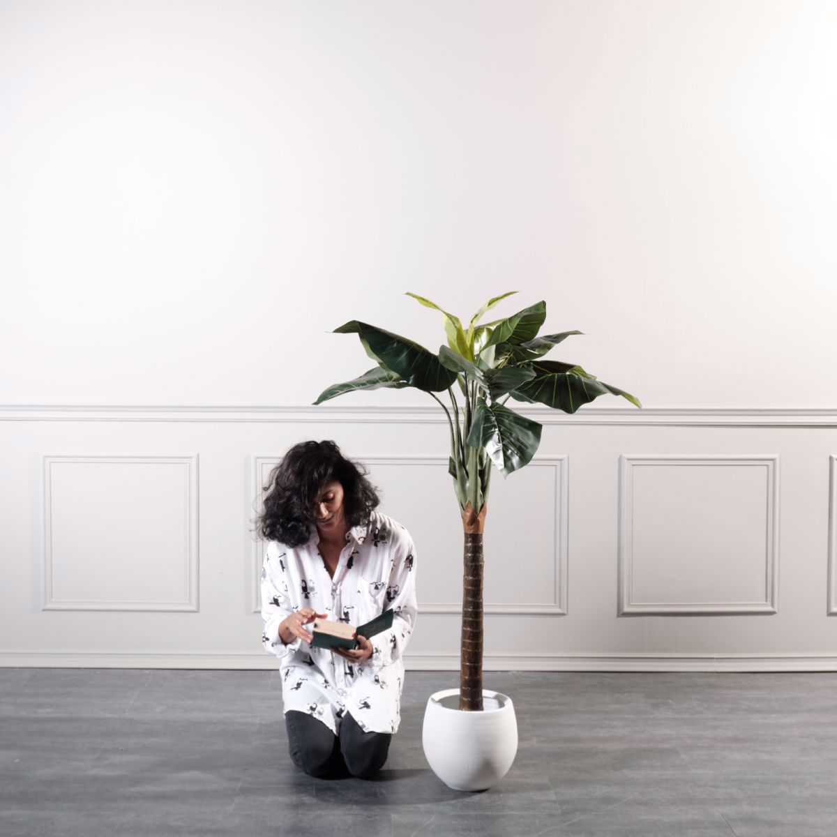 Supergreens Texnito Dentro Alokasia 150cm 4760-6