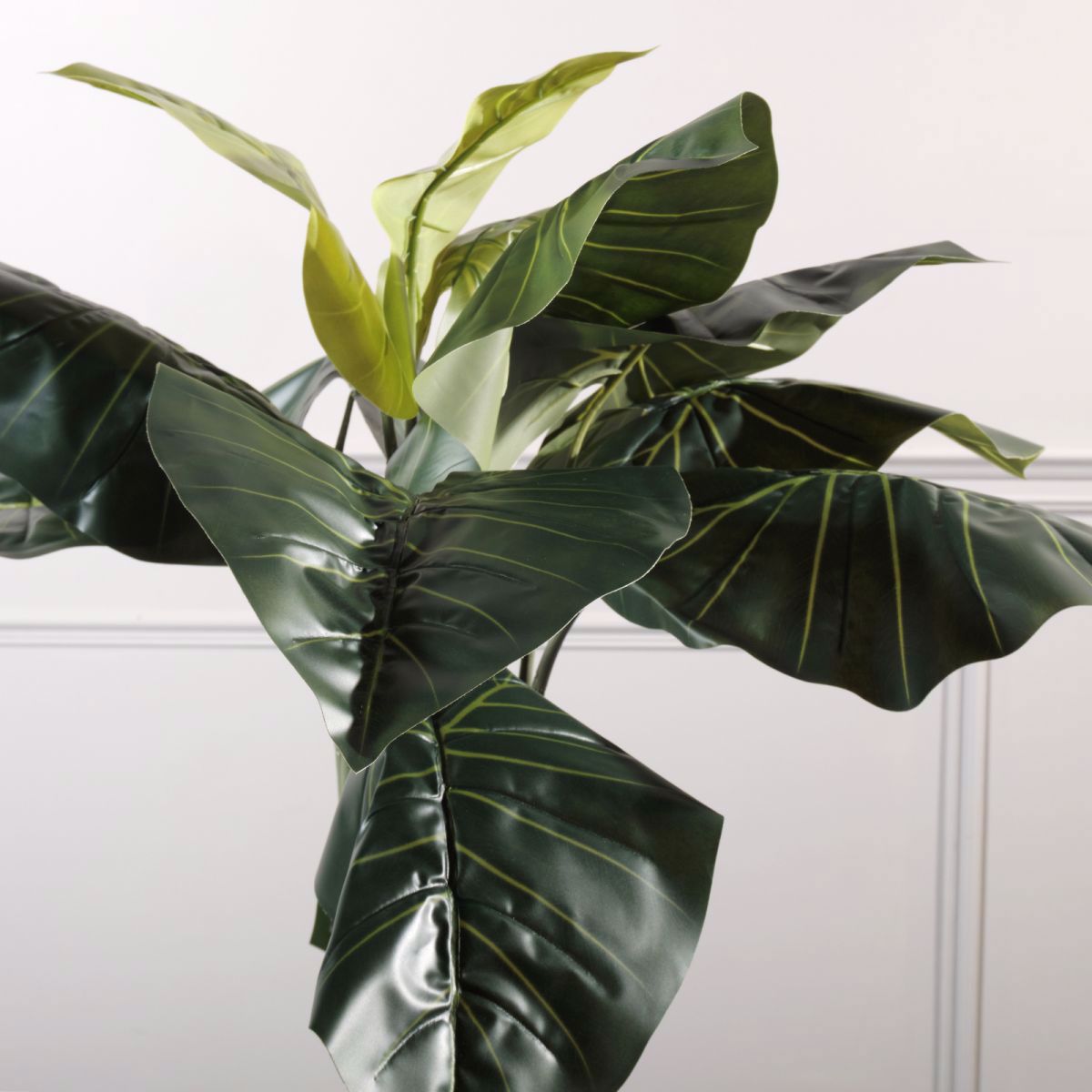 Supergreens Texnito Dentro Alokasia 150cm 4760-6