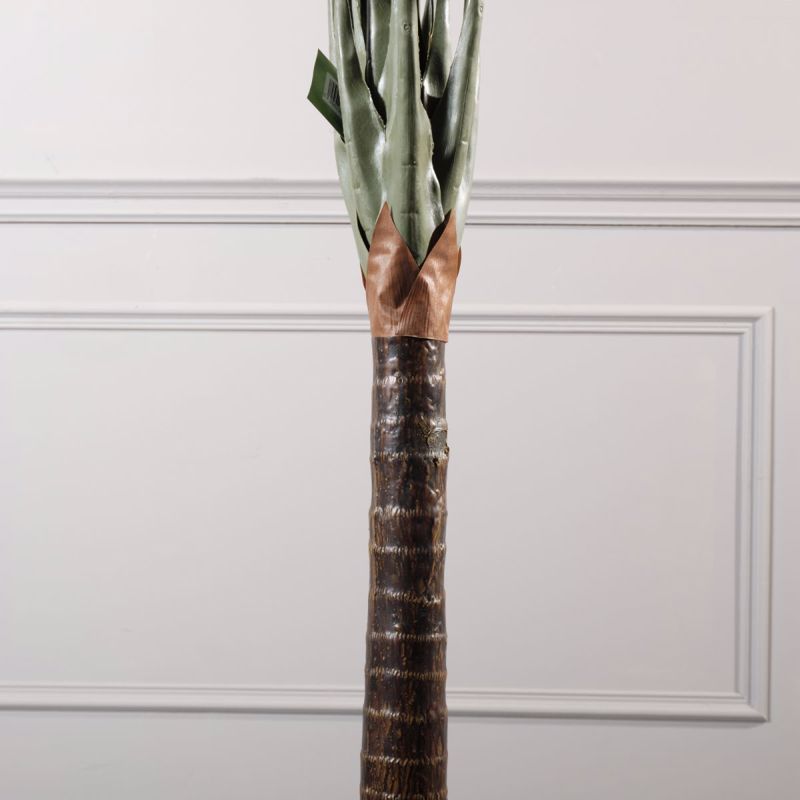 Supergreens Texnito Dentro Alokasia 150cm 4760-6