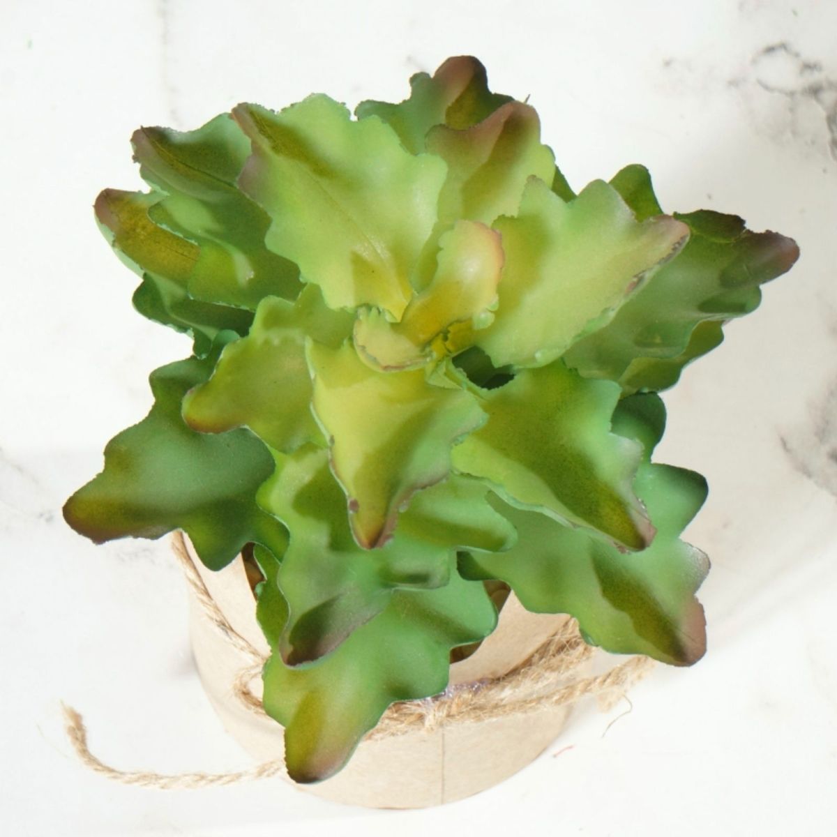 /filemanager/supergreens/6-0747-2.jpg