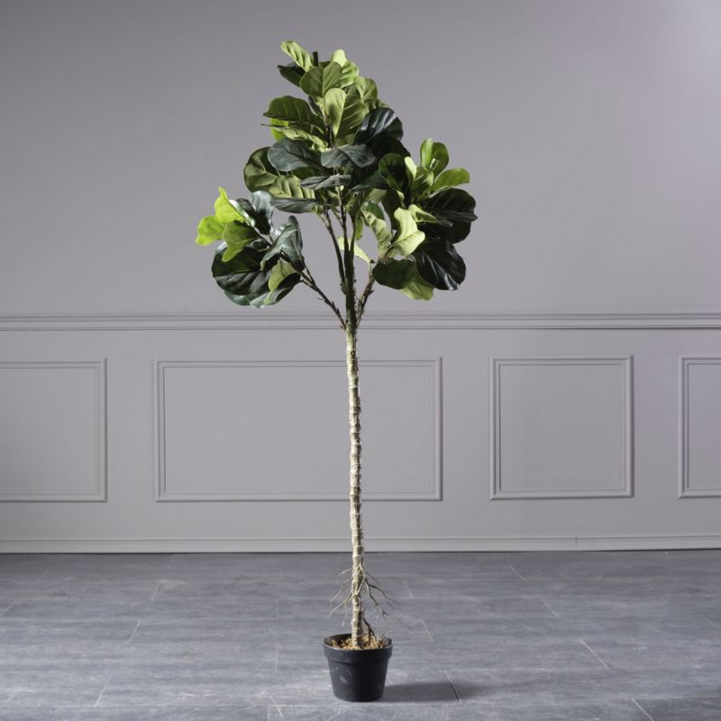 Supergreens Texnito Dentro Fikos Lurata ''Fine'' 165cm 6130-6