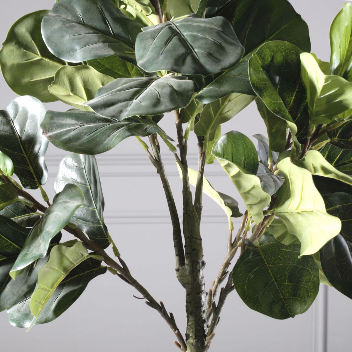 Supergreens Texnito Dentro Fikos Lurata ''Fine'' 165cm 6130-6