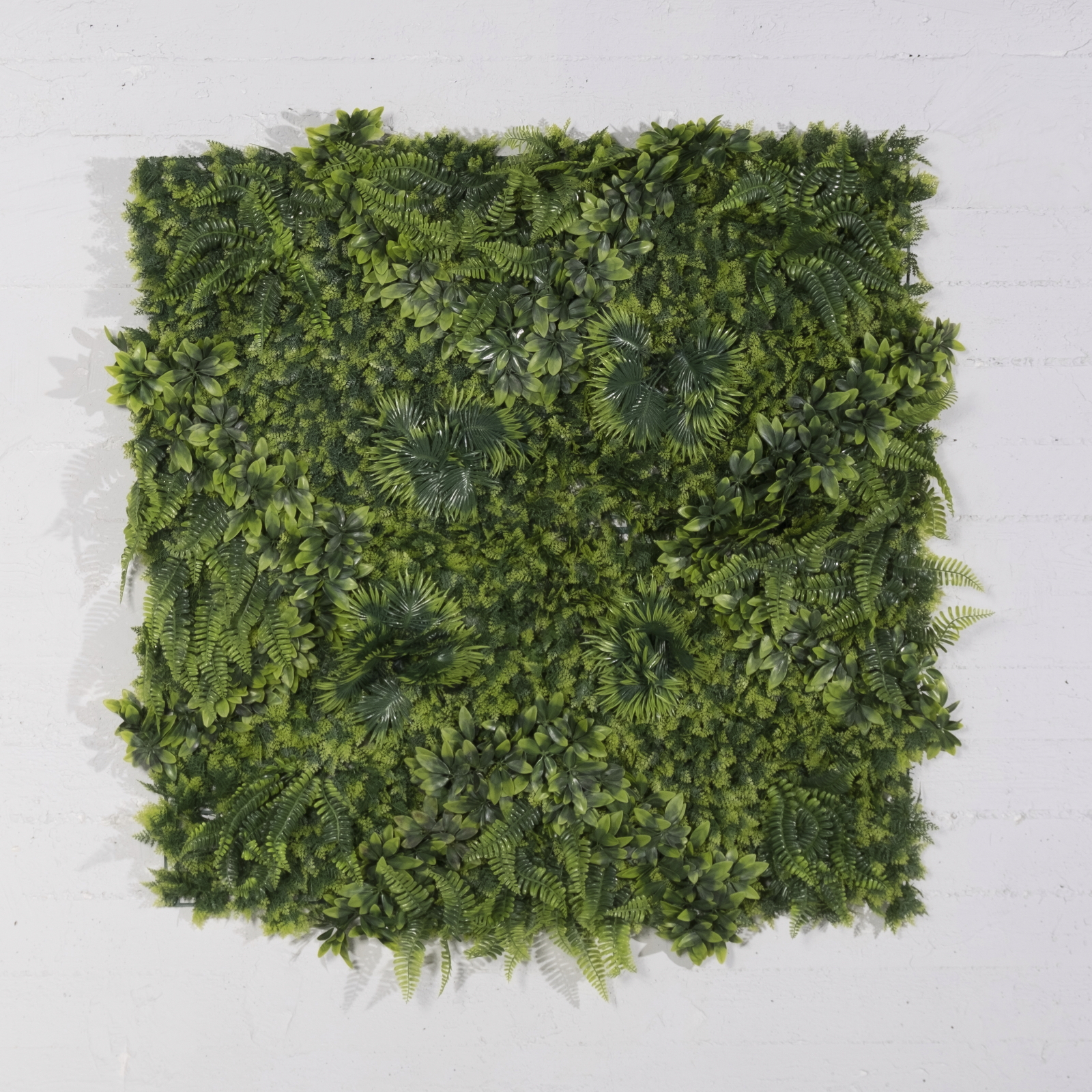 /filemanager/supergreens/6291-7-2.jpg