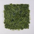 Supergreens Texniti Fullosia Fteri me Fiko ''Floris'' 100x100cm 6291-7