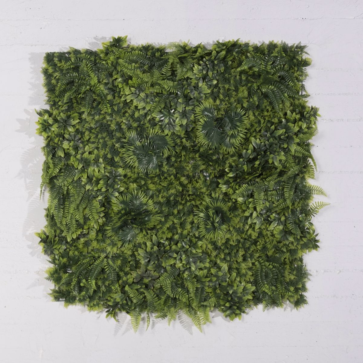 Supergreens Texniti Fullosia Fteri me Fiko ''Floris'' 100x100cm 6291-7