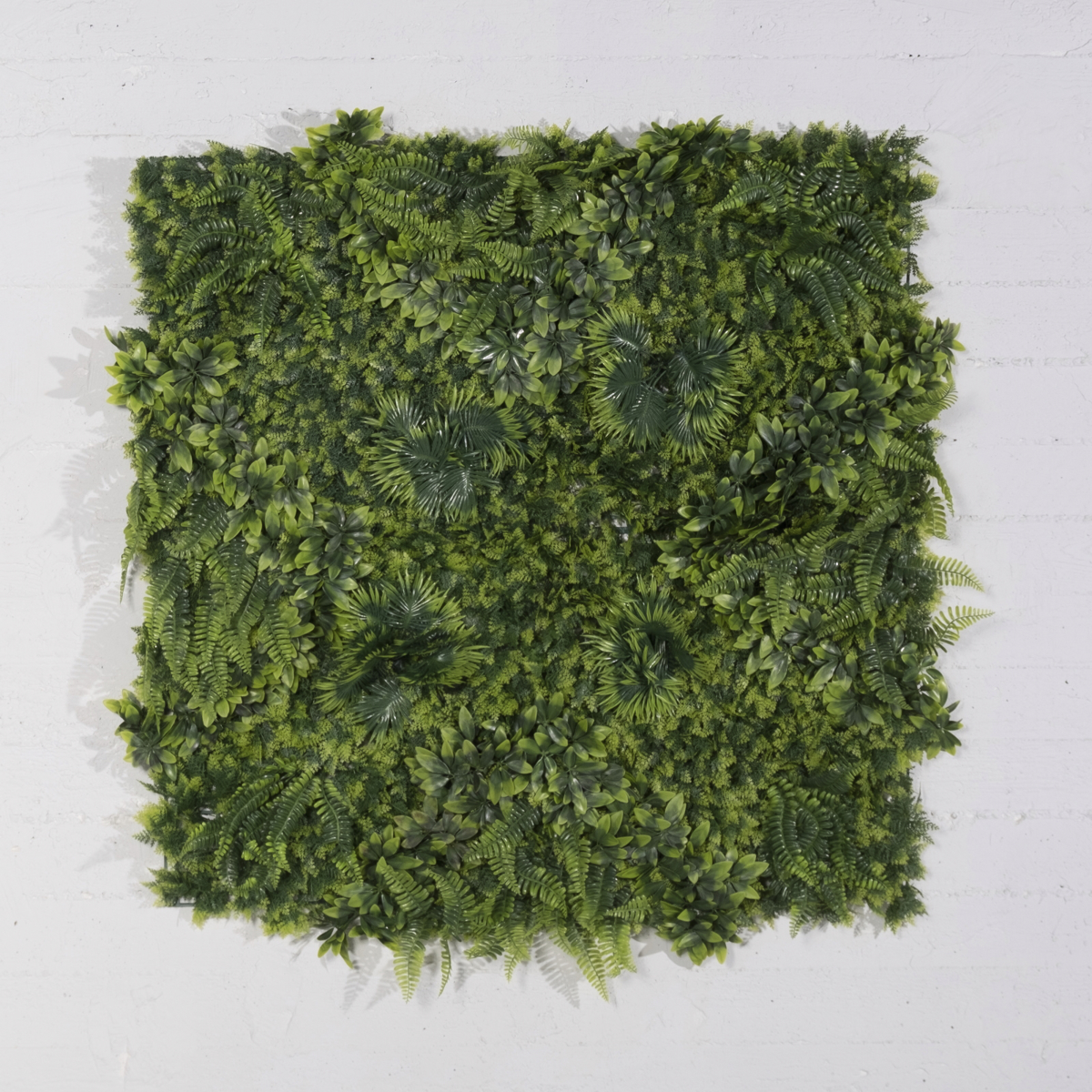 Supergreens Texniti Fullosia Fteri me Fiko ''Floris'' 100x100cm 6291-7