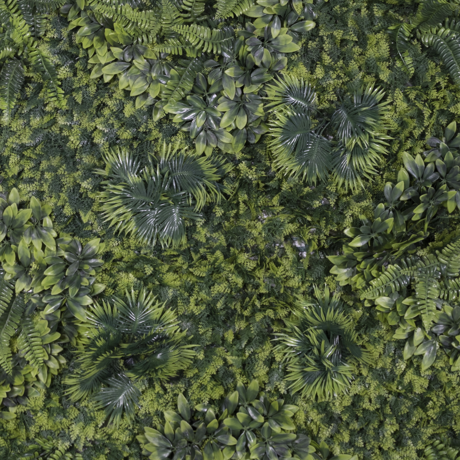 /filemanager/supergreens/6291-7-3.jpg