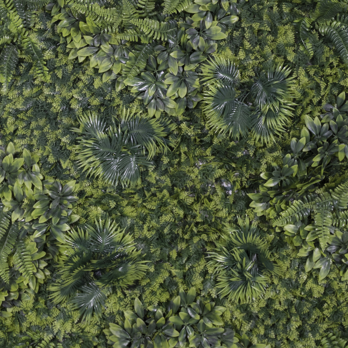 Supergreens Texniti Fullosia Fteri me Fiko ''Floris'' 100x100cm 6291-7