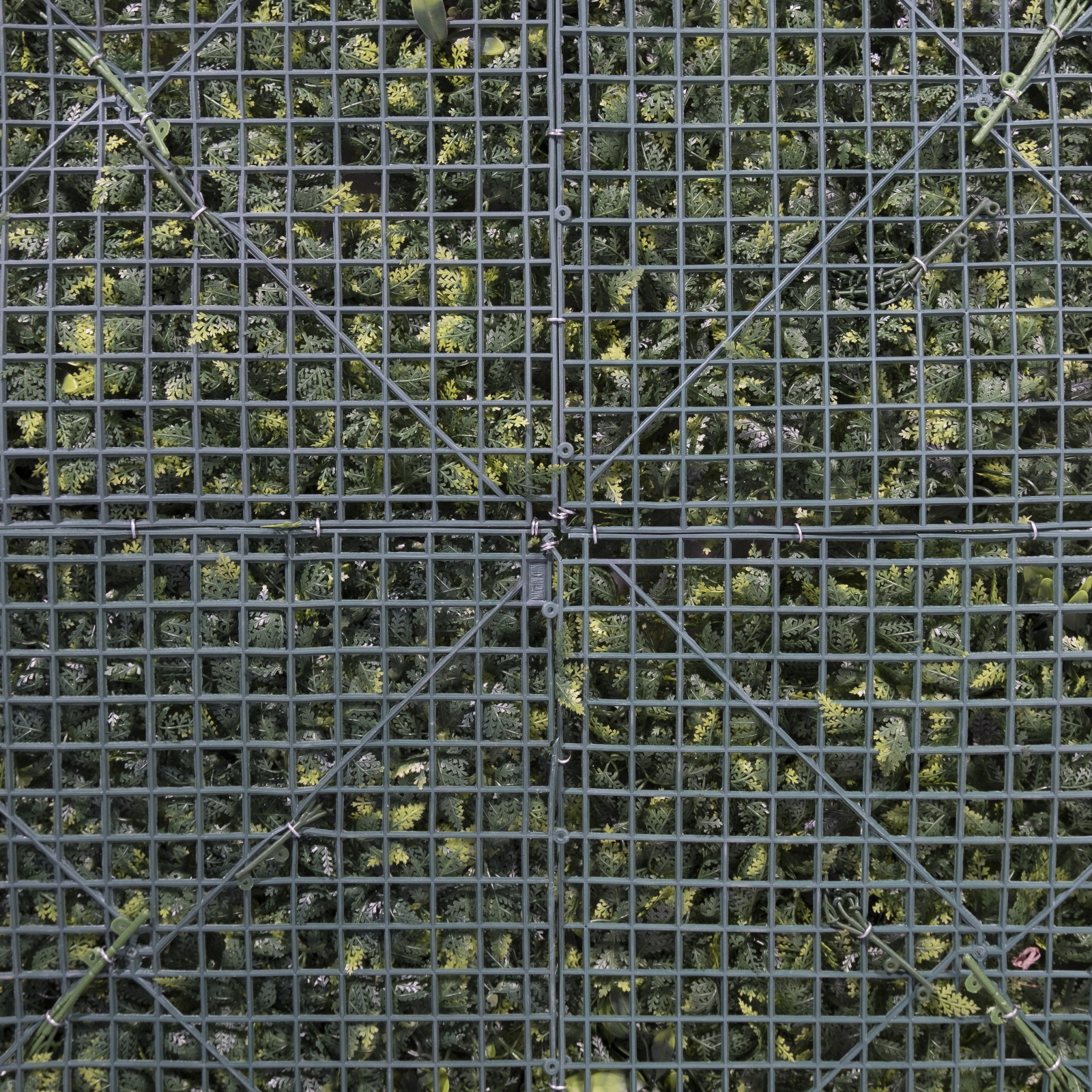 /filemanager/supergreens/6291-7-4.jpg