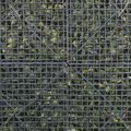 Supergreens Texniti Fullosia Fteri me Fiko ''Floris'' 100x100cm 6291-7