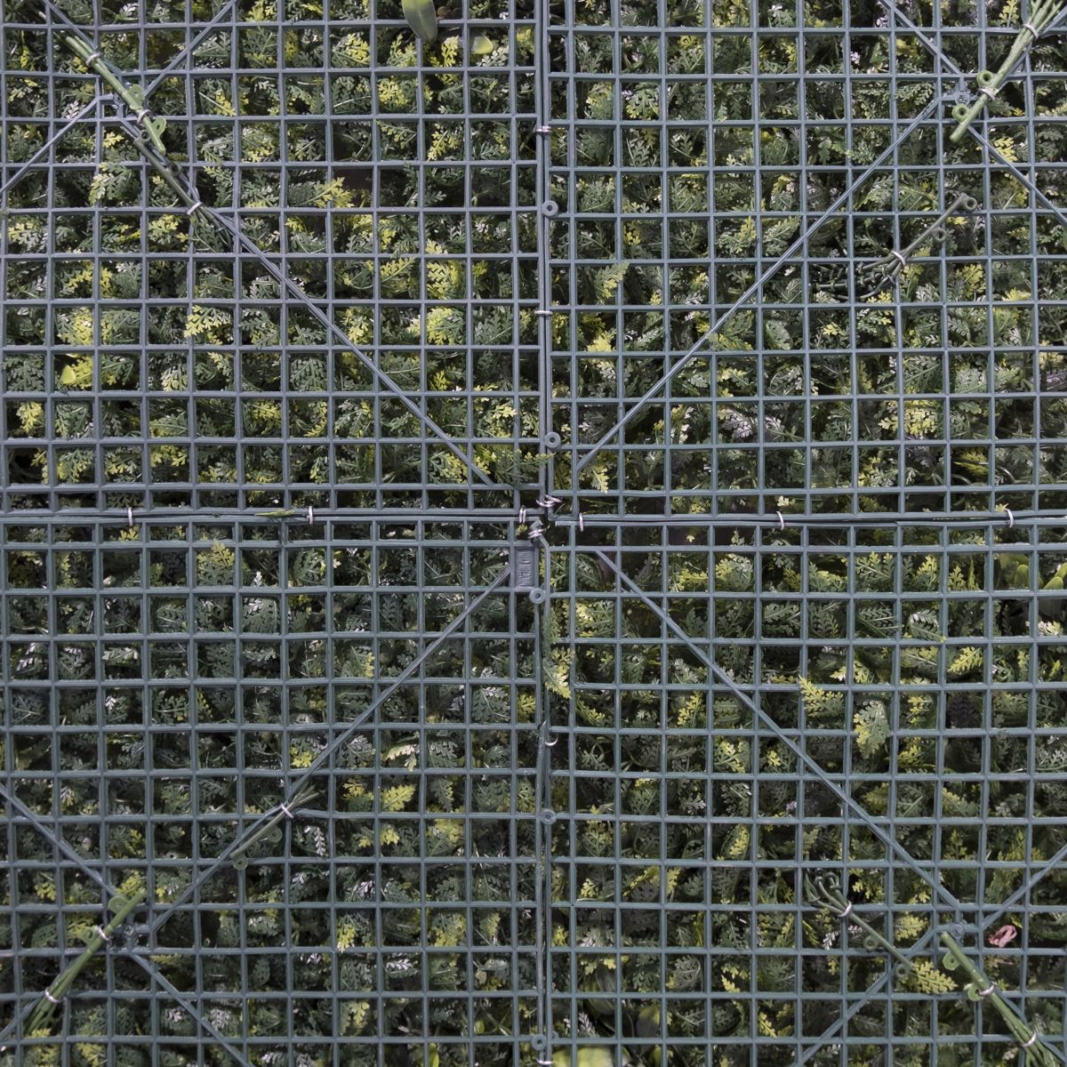 Supergreens Texniti Fullosia Fteri me Fiko ''Floris'' 100x100cm 6291-7