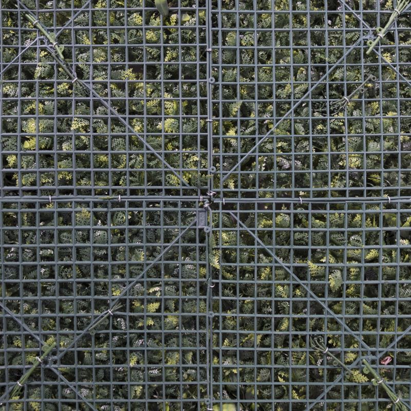 Supergreens Texniti Fullosia Fteri me Fiko ''Floris'' 100x100cm 6291-7