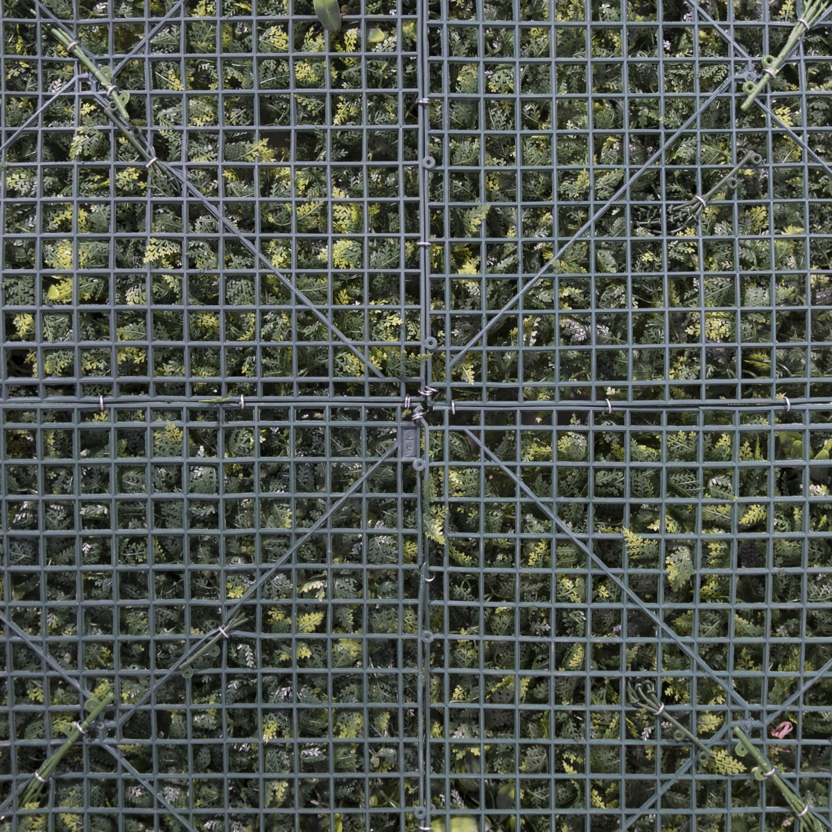 Supergreens Texniti Fullosia Fteri me Fiko ''Floris'' 100x100cm 6291-7