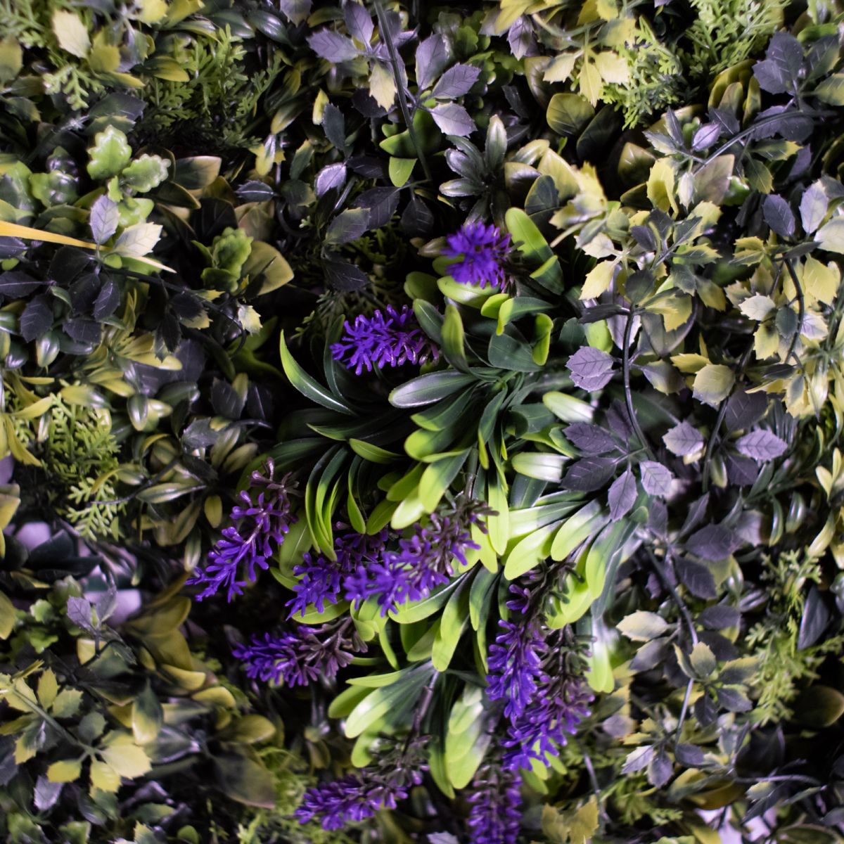 /filemanager/supergreens/6351-7_4.jpg