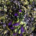Supergreens Texniti Fullosia Stipa/Fteri me Lebanta 100x100cm 6351-7