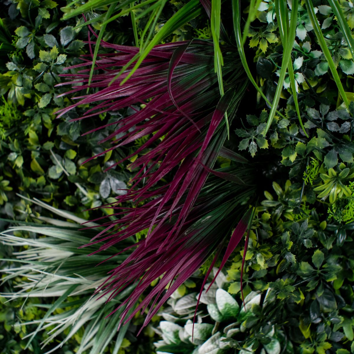 /filemanager/supergreens/6351-7_5.jpg