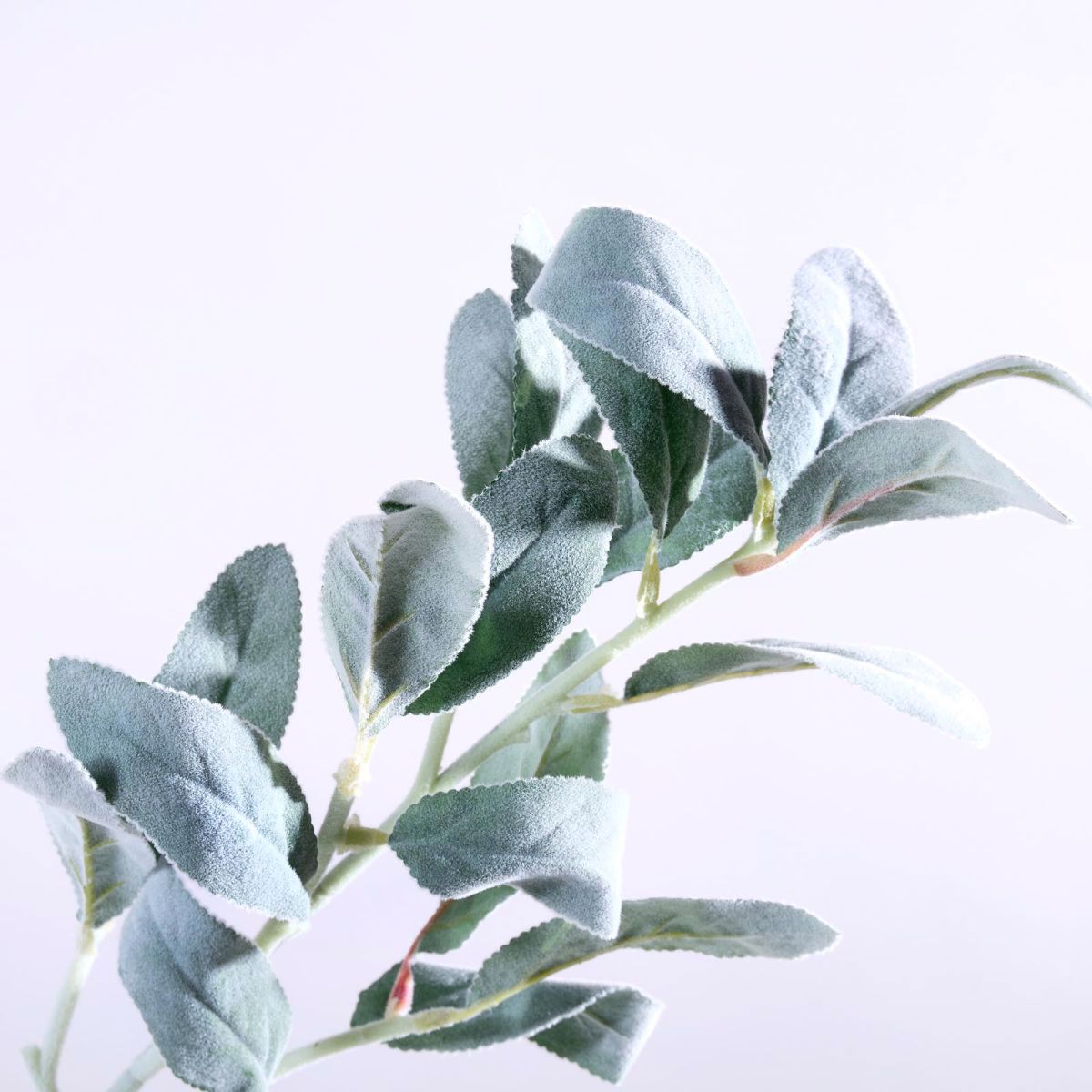 Supergreens Texnito Klonari Prasino 78cm 5420-7