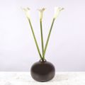 Supergreens Texnito Klonari Kalla 76cm 1030-7