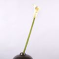 Supergreens Texnito Klonari Kalla 76cm 1030-7