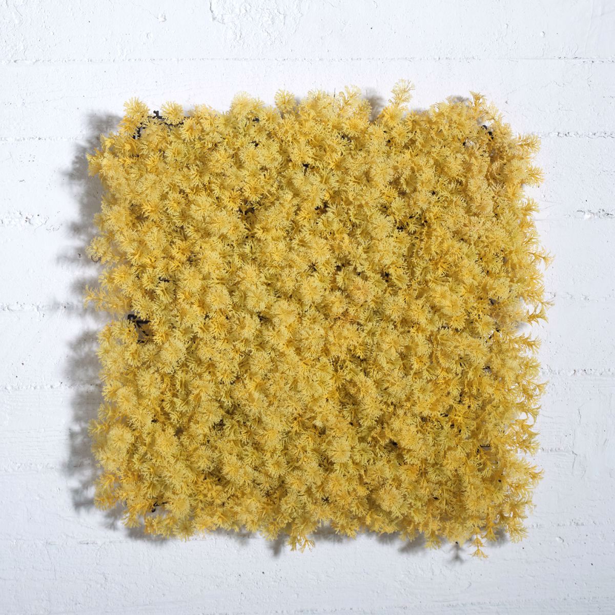 Supergreens Texniti Fullosia Kitrini 50x50cm 2801-7