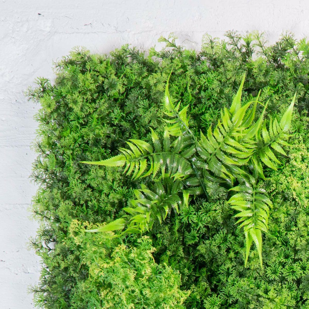 Supergreens Texniti Fullosia Fteri ''Mossy'' 100x100cm 7801-7