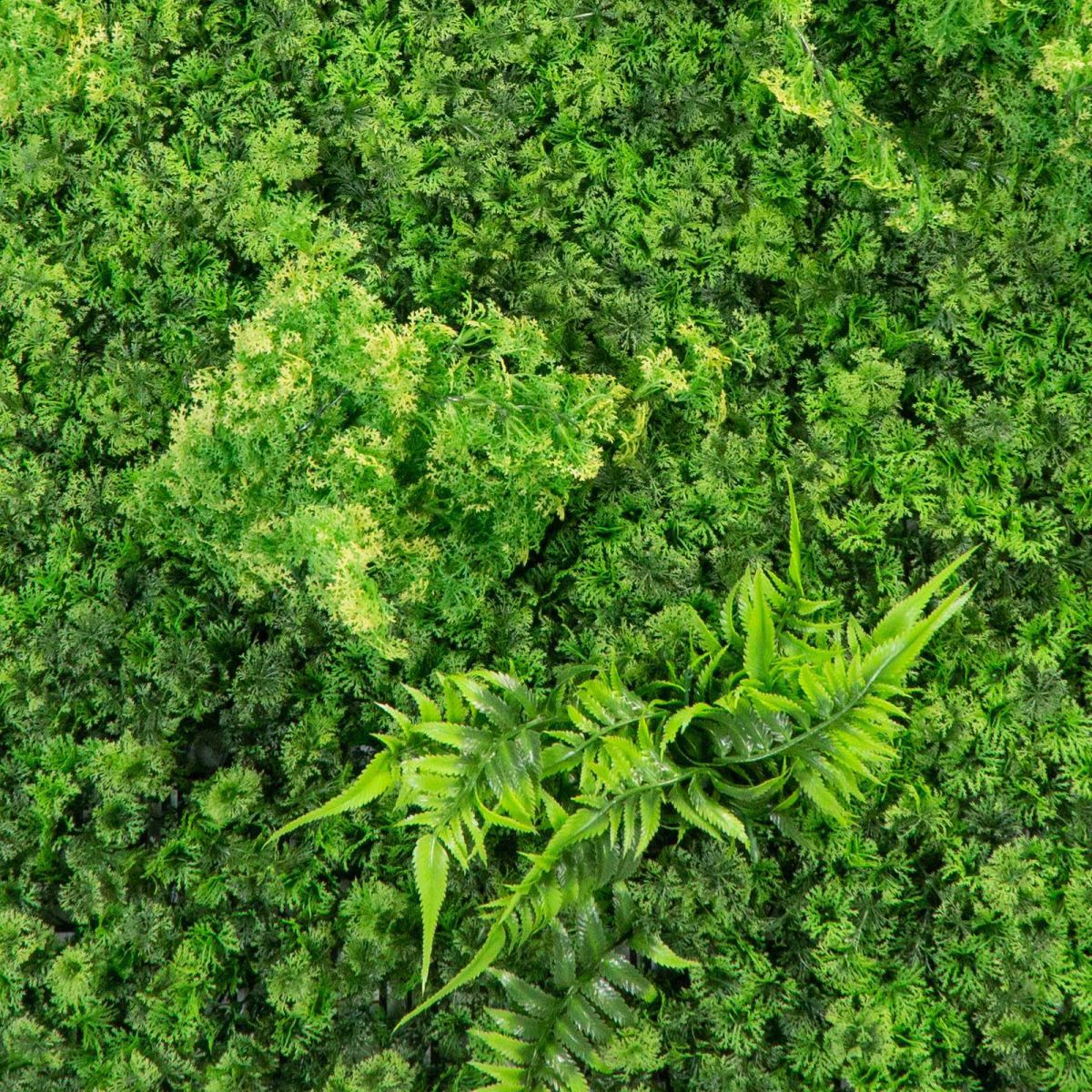 Supergreens Texniti Fullosia Fteri ''Mossy'' 100x100cm 7801-7