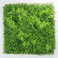 Supergreens Texniti Fullosia Fteri ''Mossy'' 100x100cm 7801-7