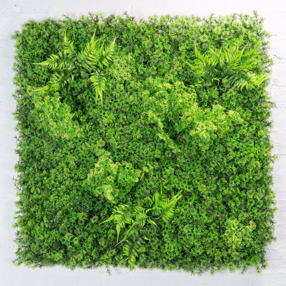 Supergreens Texniti Fullosia Fteri ''Mossy'' 100x100cm 7801-7