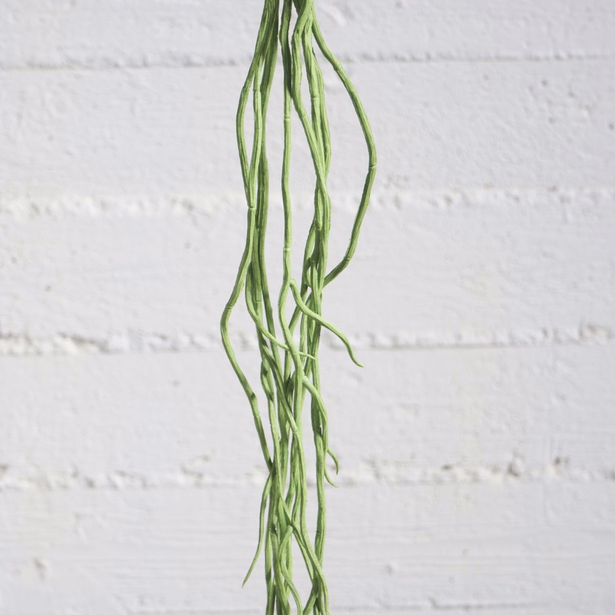 Supergreens Texnito Kremasto Xortari Prasino 110cm 7821-7