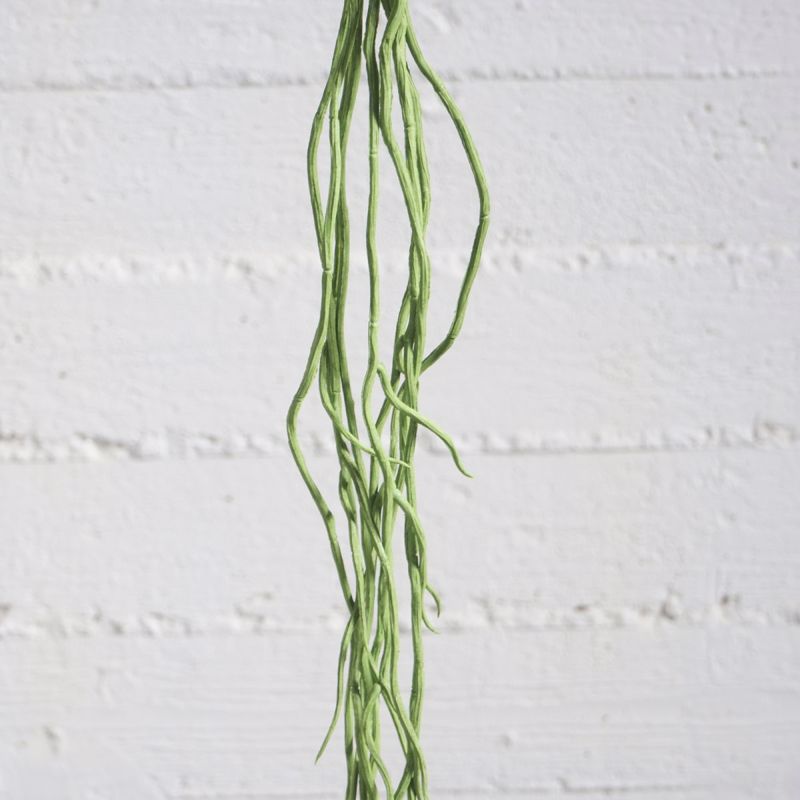 Supergreens Texnito Kremasto Xortari Prasino 110cm 7821-7