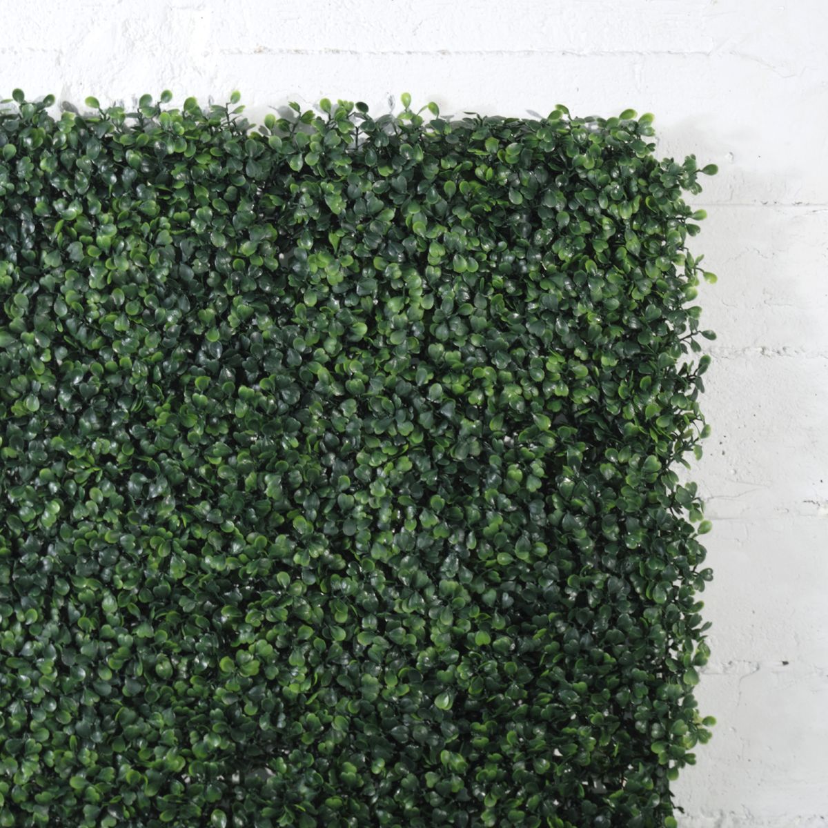 /filemanager/supergreens/7-1300-1.jpg