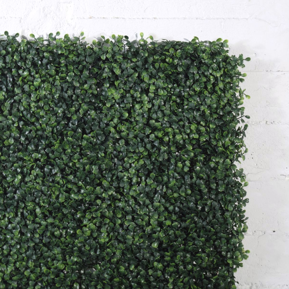 Supergreens Texniti Fullosia Trifulli 50x50cm 0031-7