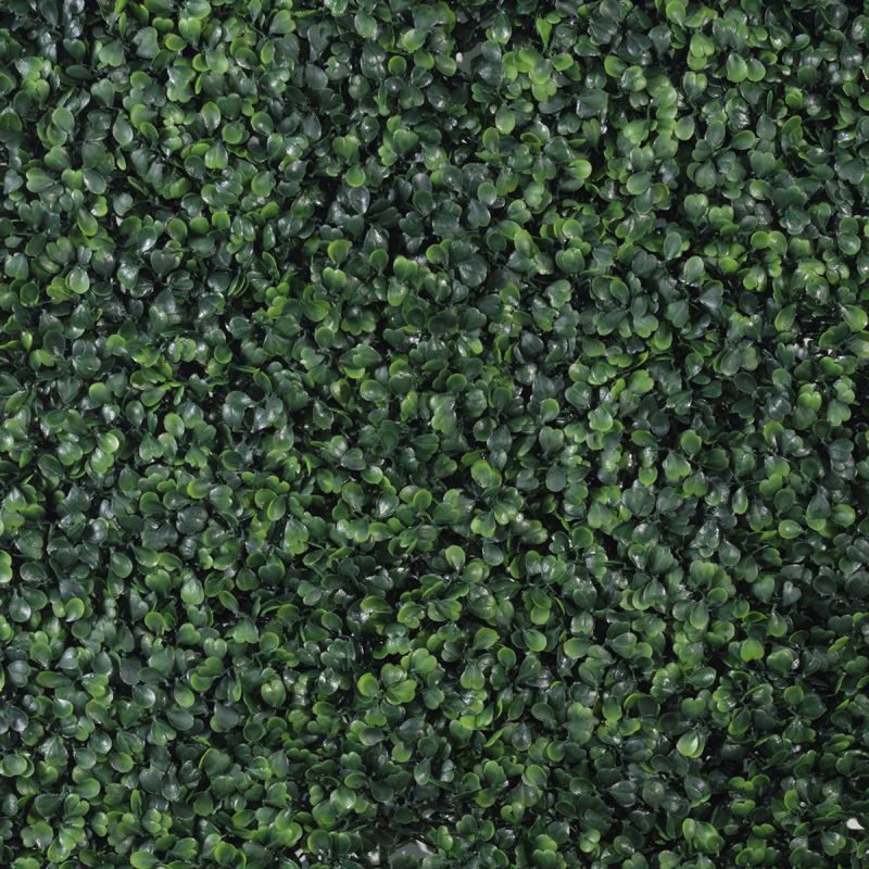 Supergreens Texniti Fullosia Trifulli 50x50cm 0031-7