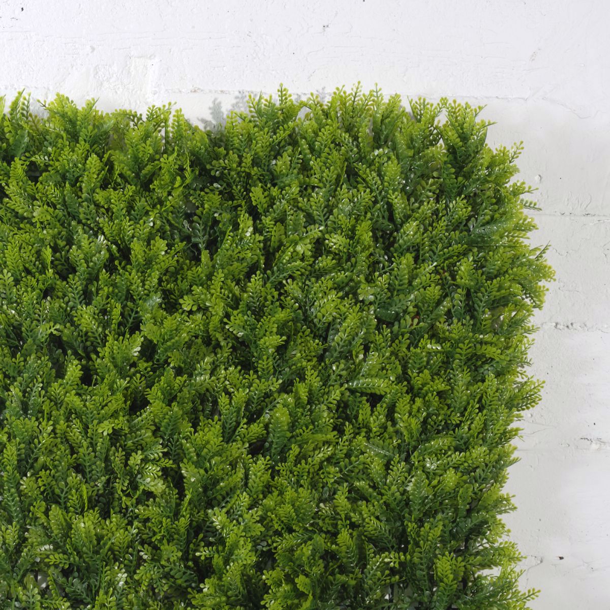 Supergreens Texniti Fullosia Fteri Maidenhair 50x50cm 1031-7