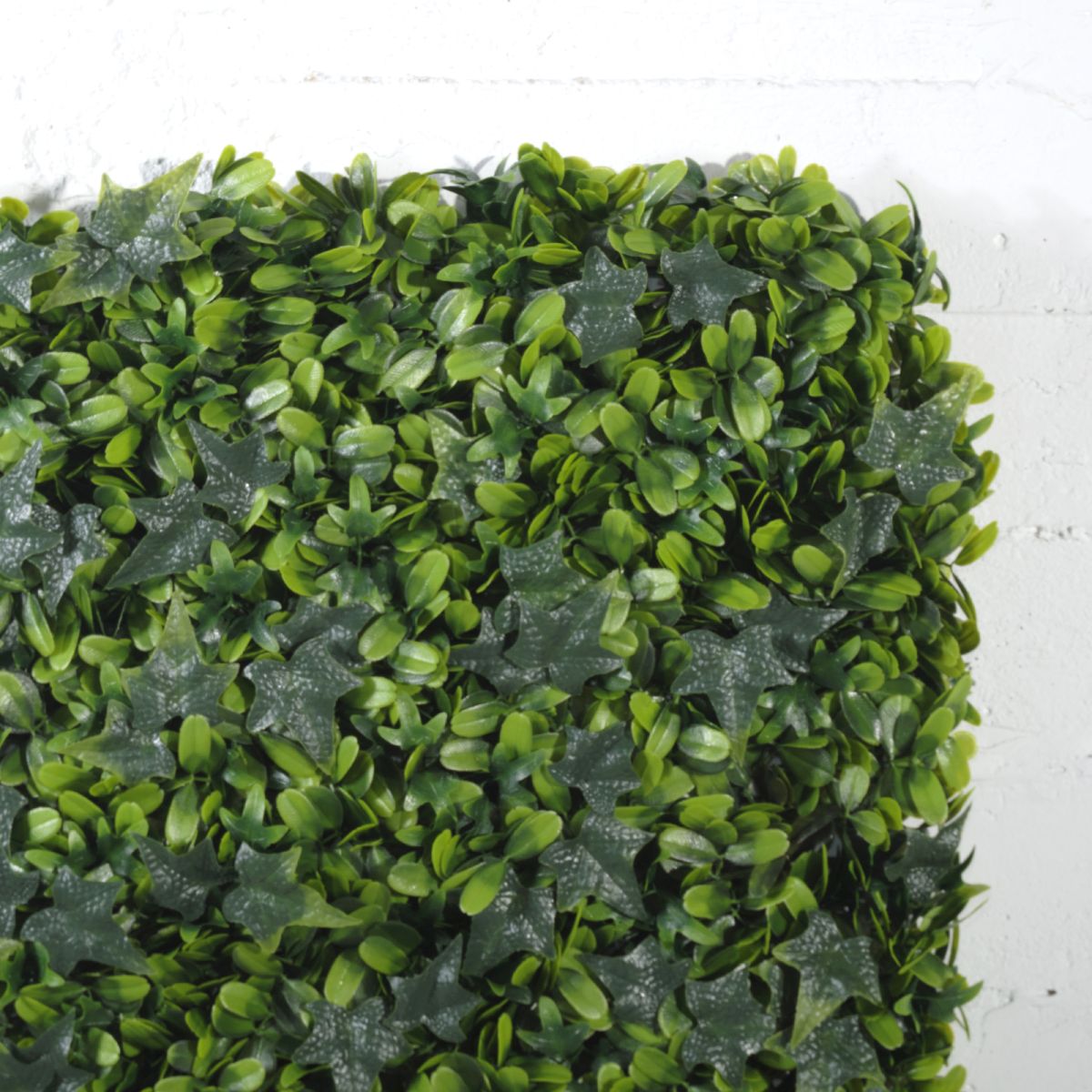 /filemanager/supergreens/7-1306-1.jpg