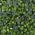 Supergreens Texniti Fullosia Kissos me Fiko 50x50cm 6031-7